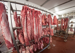Fresh meat