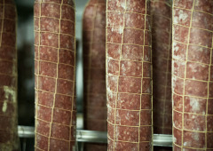 Salami