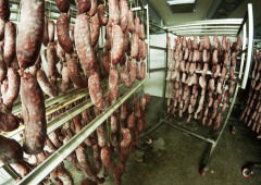 Salami during curing